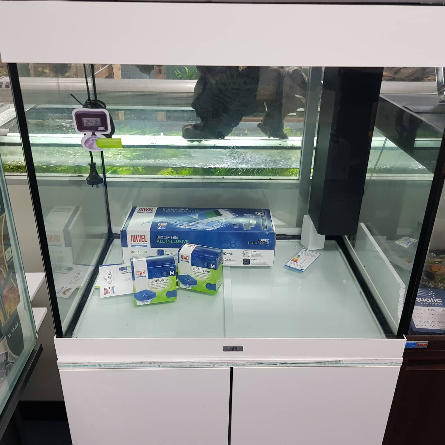 Juwel aquariums at Aquatic Creations