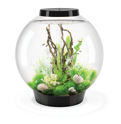 Automatic fish feeder for cheap biorb