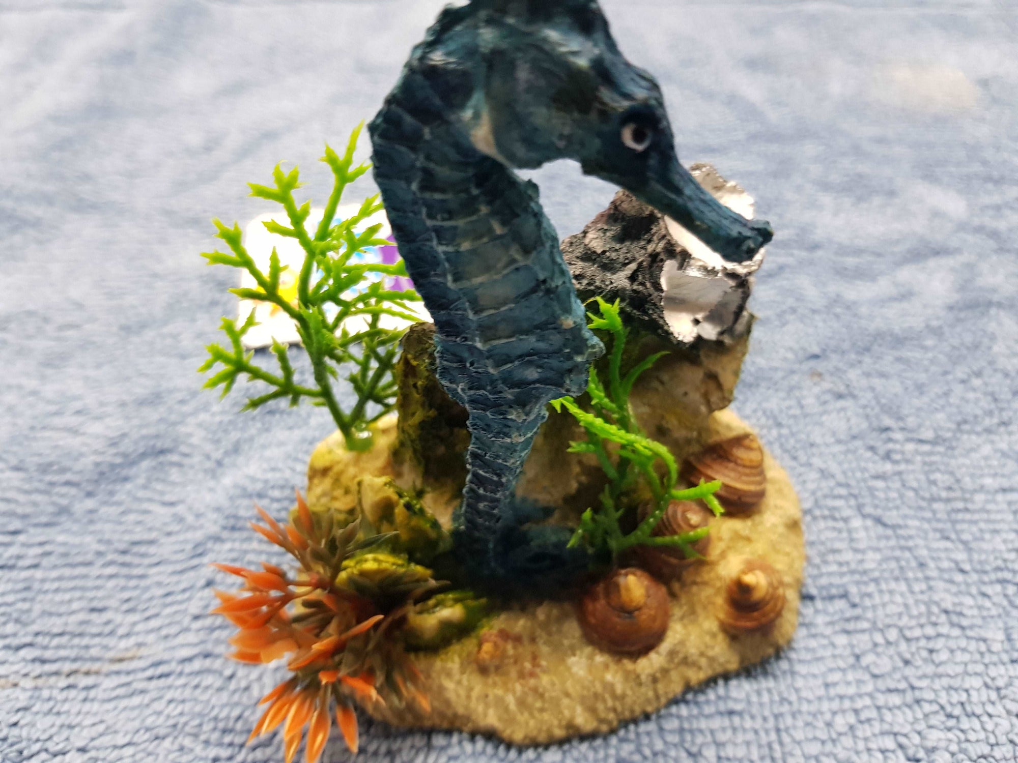 Kazoo Seahorse with plant in Blue