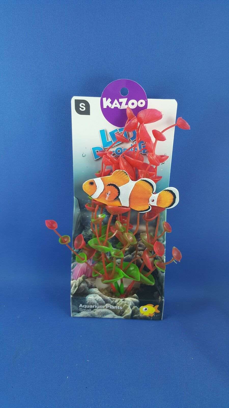 Kazoo aquarium plant, small with red & green leaves with solid pebble base