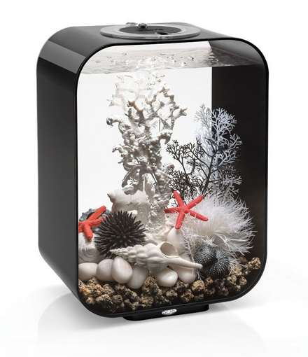 Biorb Life 15lt aquarium set up in Black, on Special