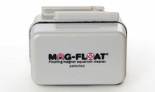 Best aquarium outlet magnet cleaner