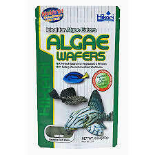 New Hikari Algae Wafers 250g packet