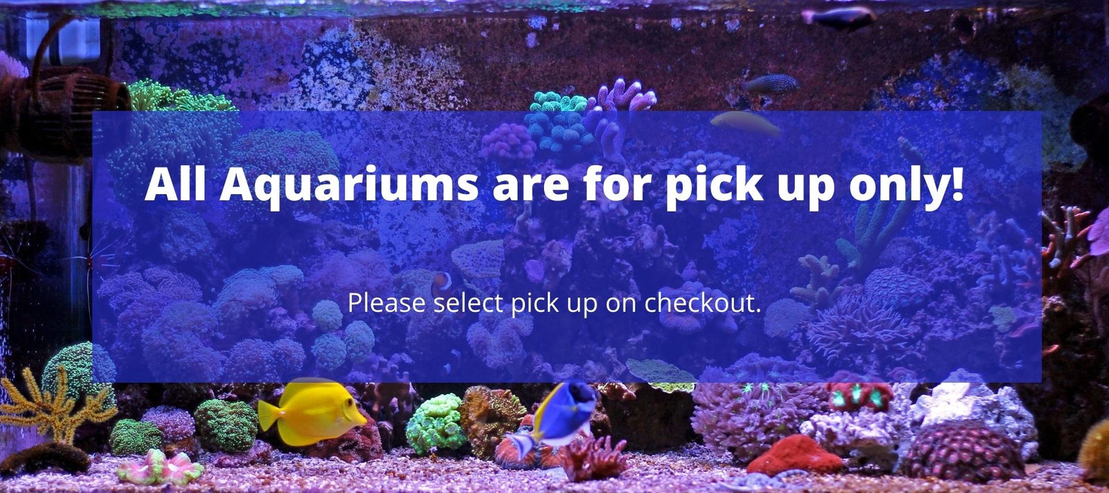 Aquariums