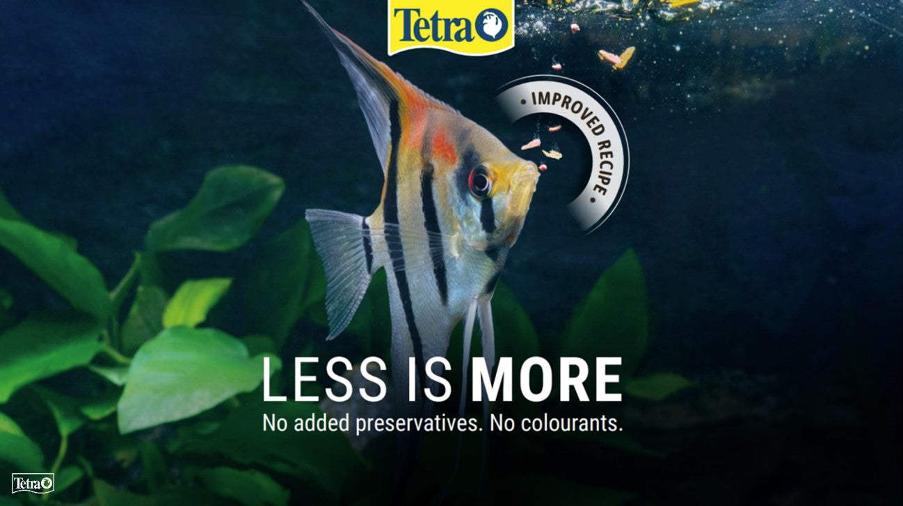 Tetra Food