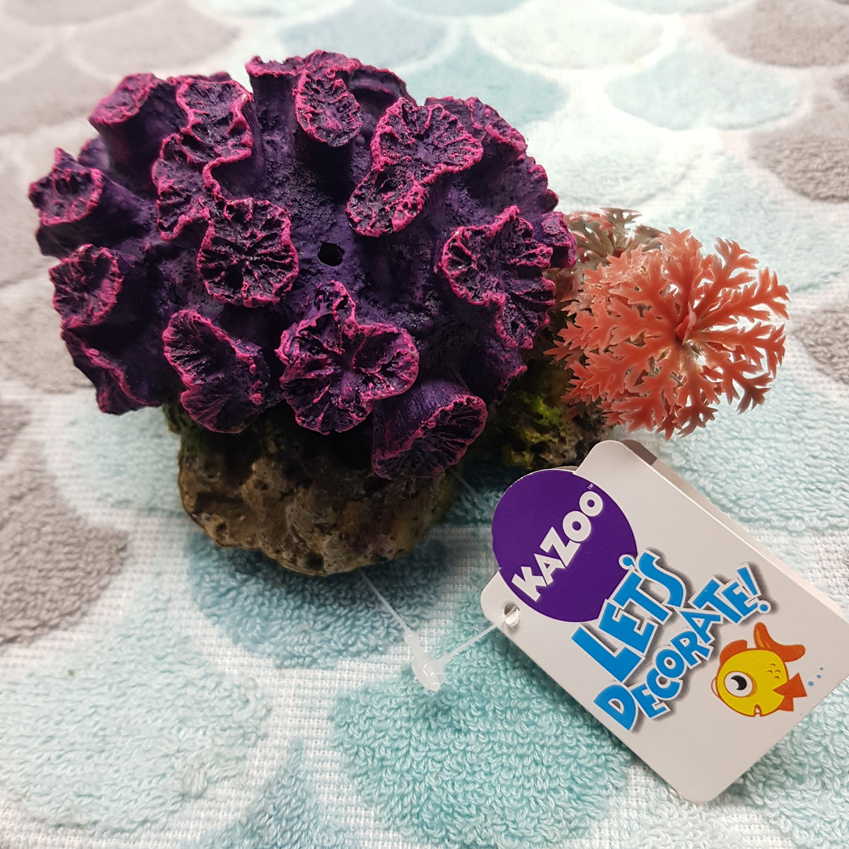 Kazoo coral with plant