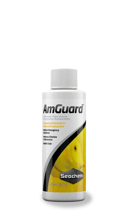 Seachem Amguard 100ml, Help remove toxic ammonia from aquarium water
