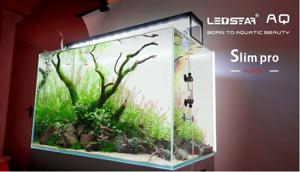 LEDSTAR AQ-SP120 Aquarium LED