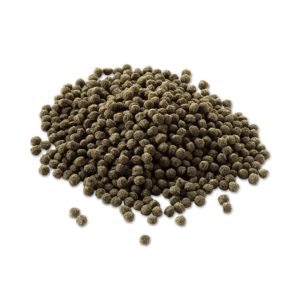 Tetra Goldfish Colour Sticks 30g