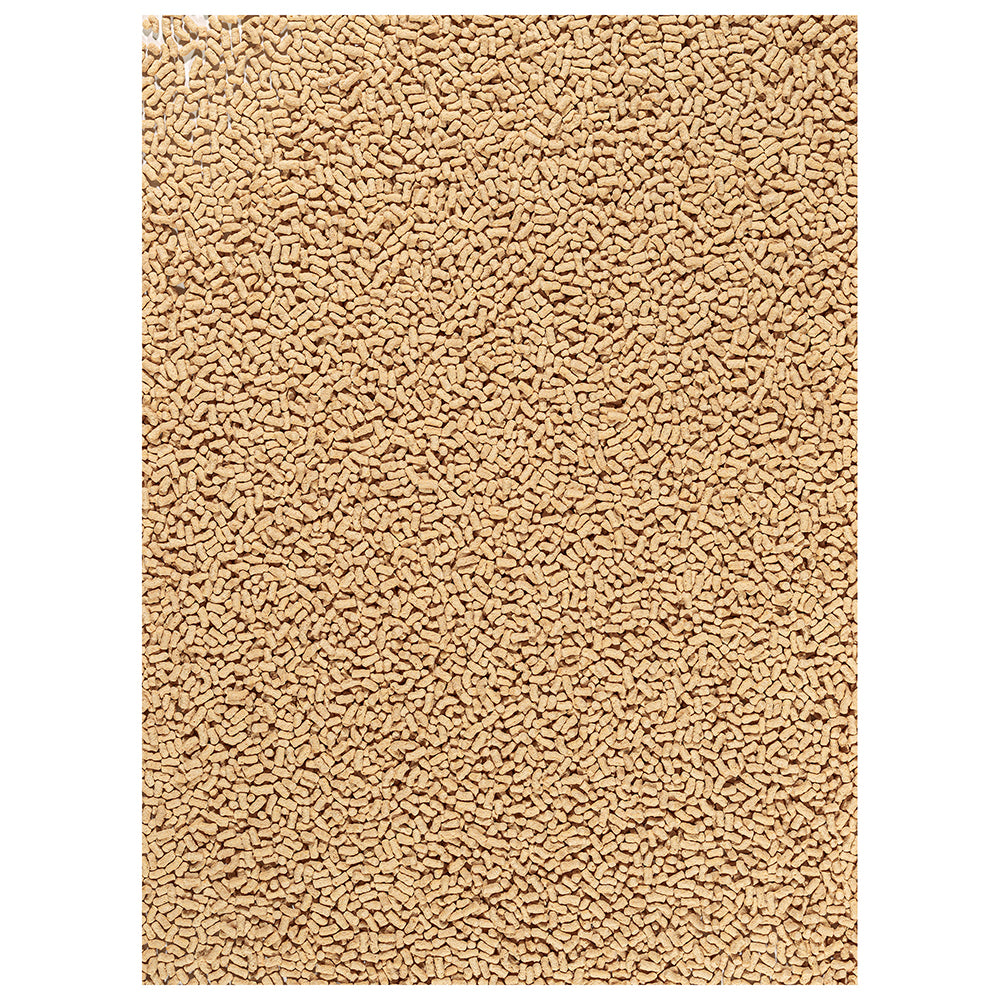 TetraPond Sticks 100g