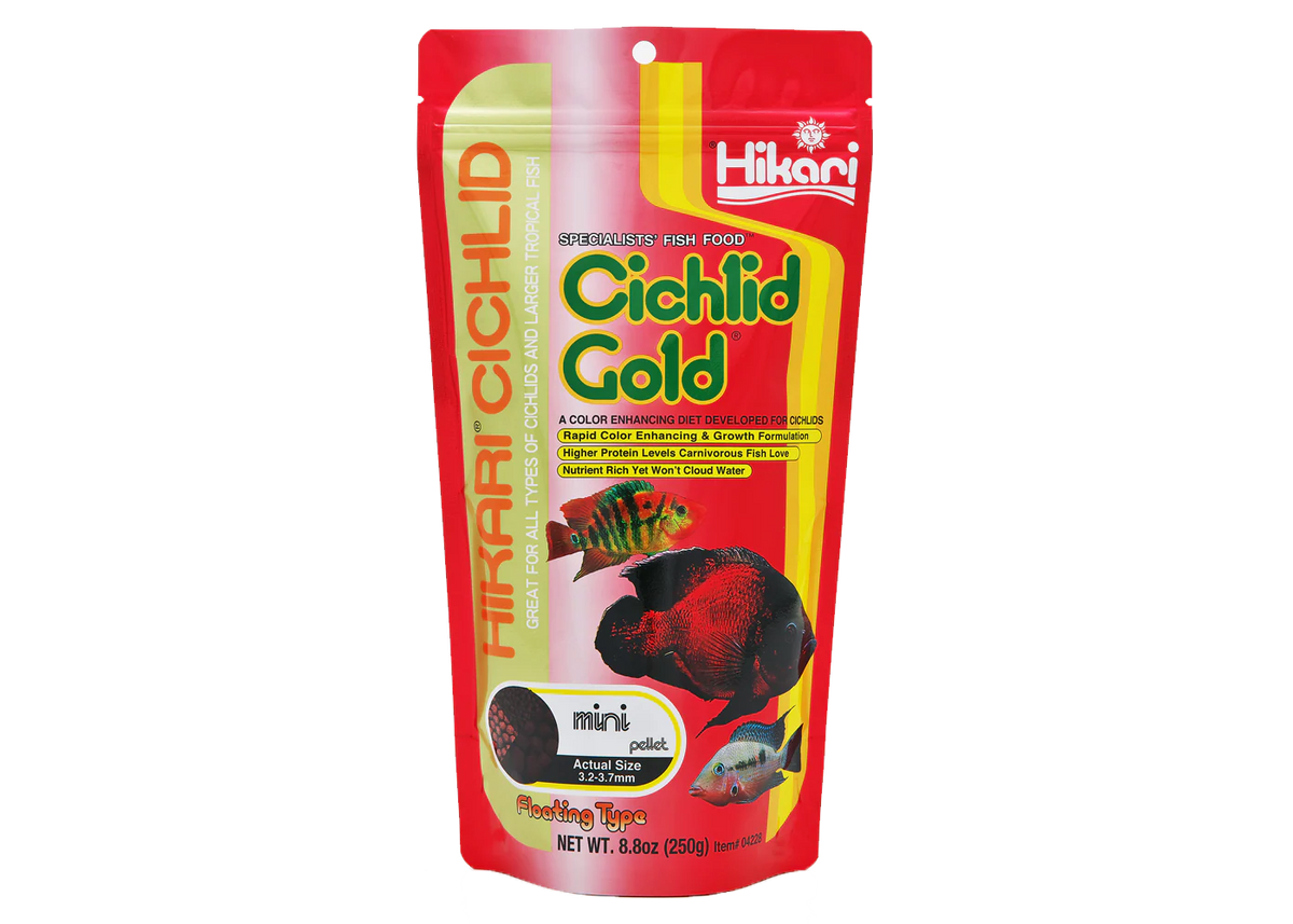 Hikari Cichlid Gold 250g Mini Pellets