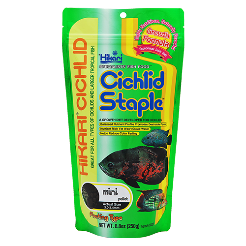 Hikari Cichlid Staple Mini 250g
