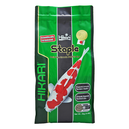 Hikari Koi Staple Medium Pellet 2kg