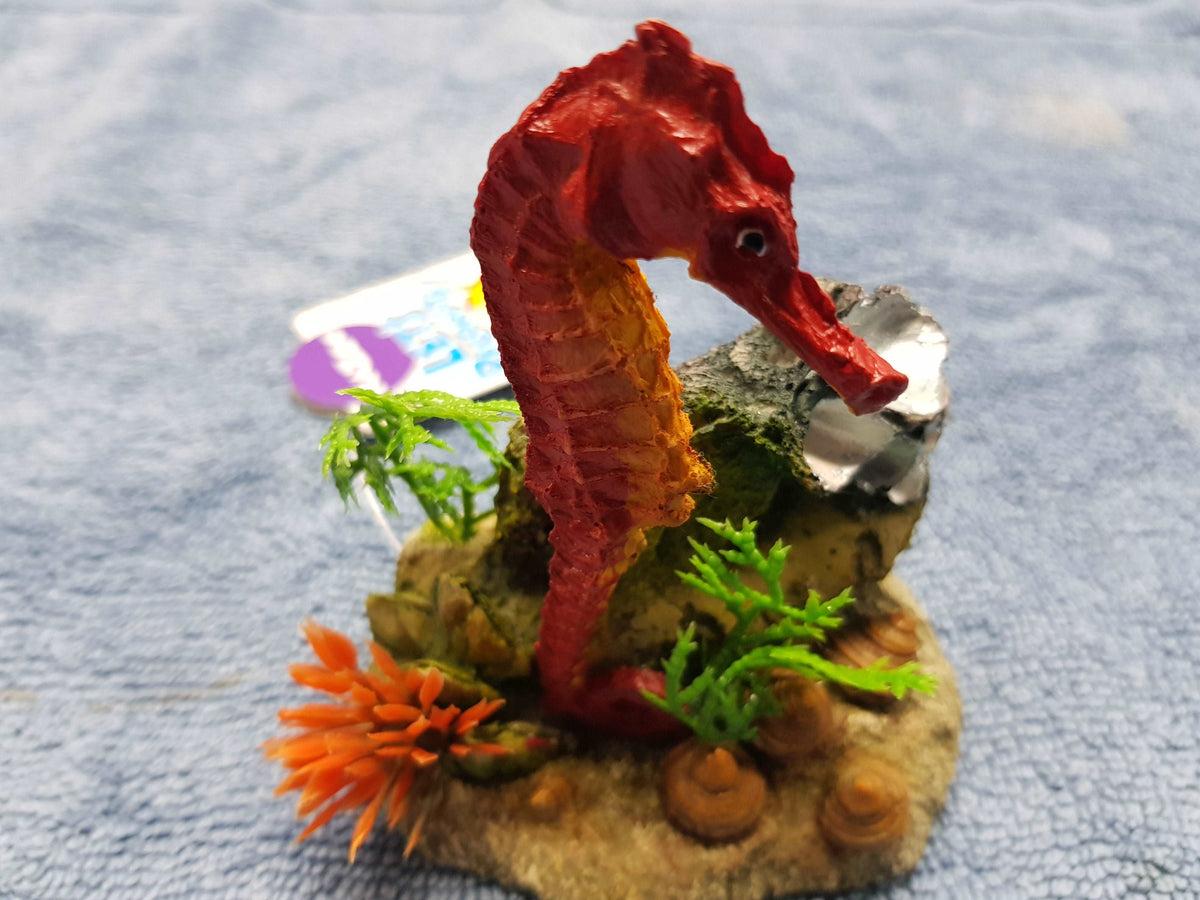 Kazoo Seahorse with plant in Red