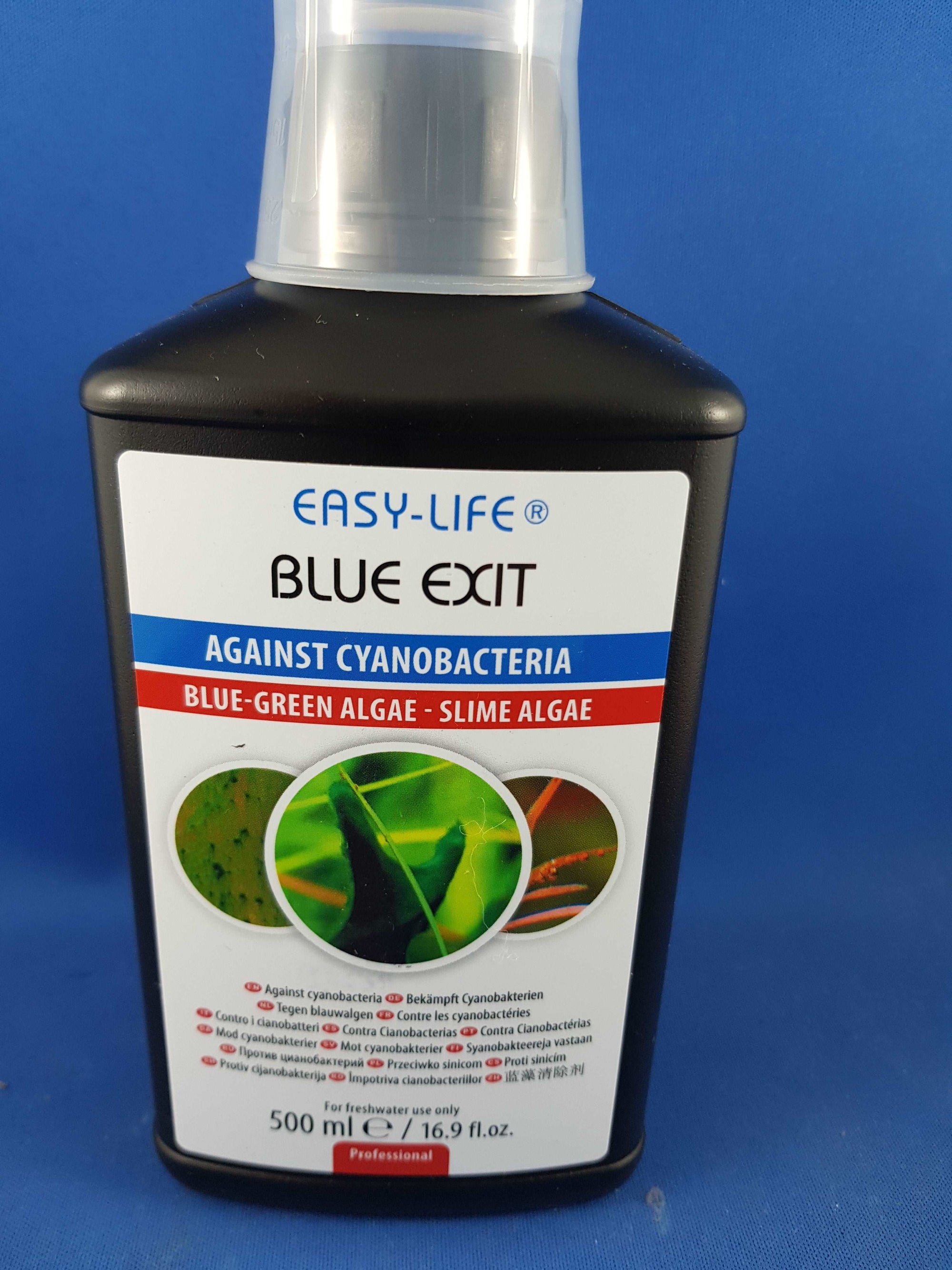Easy Life Blue Exit 500ml