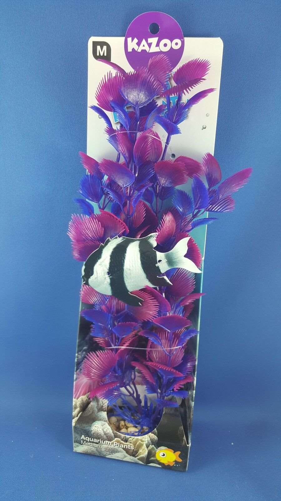 Kazoo aquarium plant, medium with purple leaves with solid pebble base