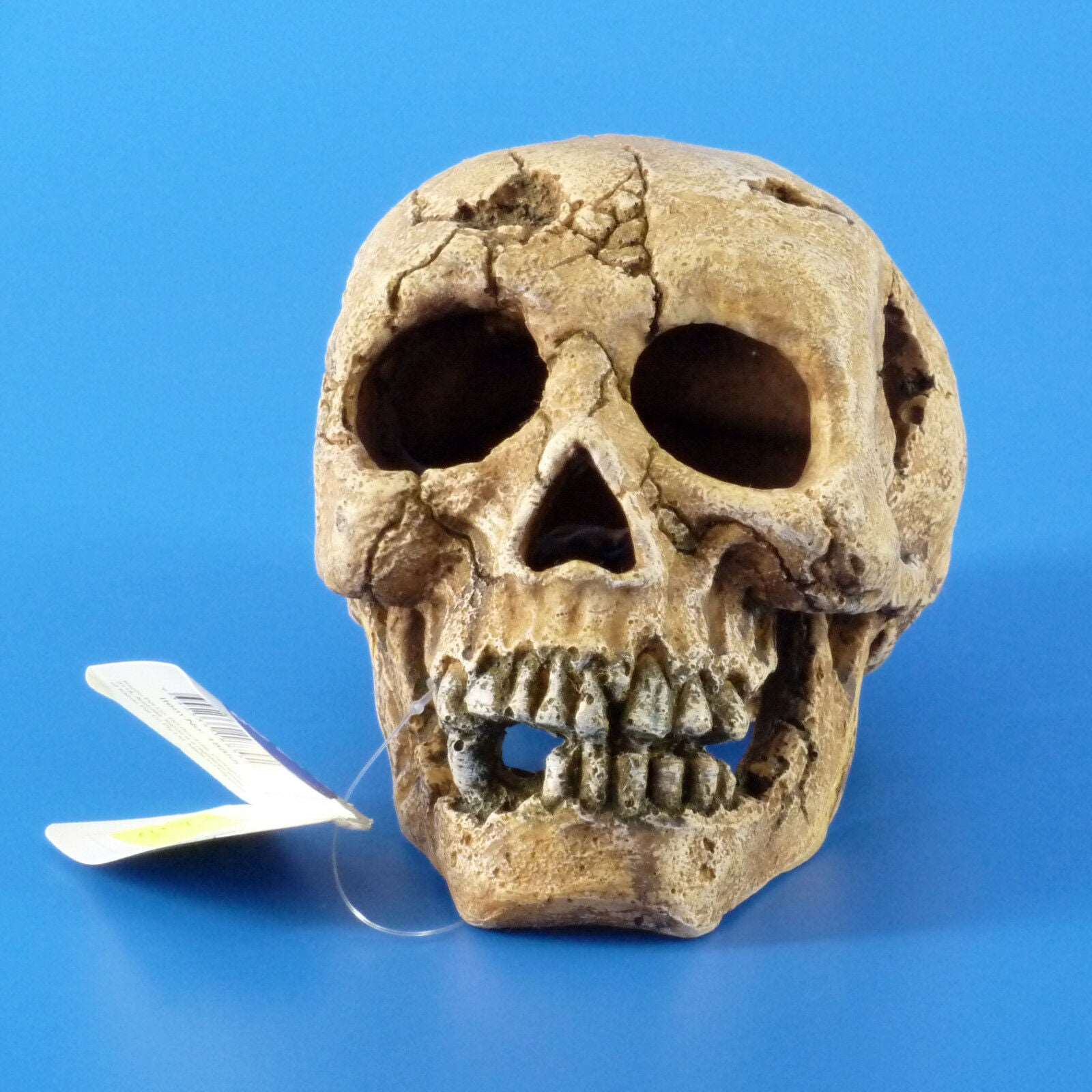 New Kazoo Skull Medium Aquarium Ornament
