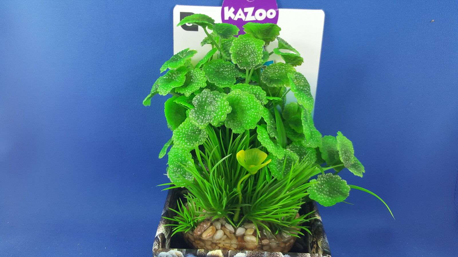 New Kazoo aquarium plant, small, assorted green leaves with solid pebble base