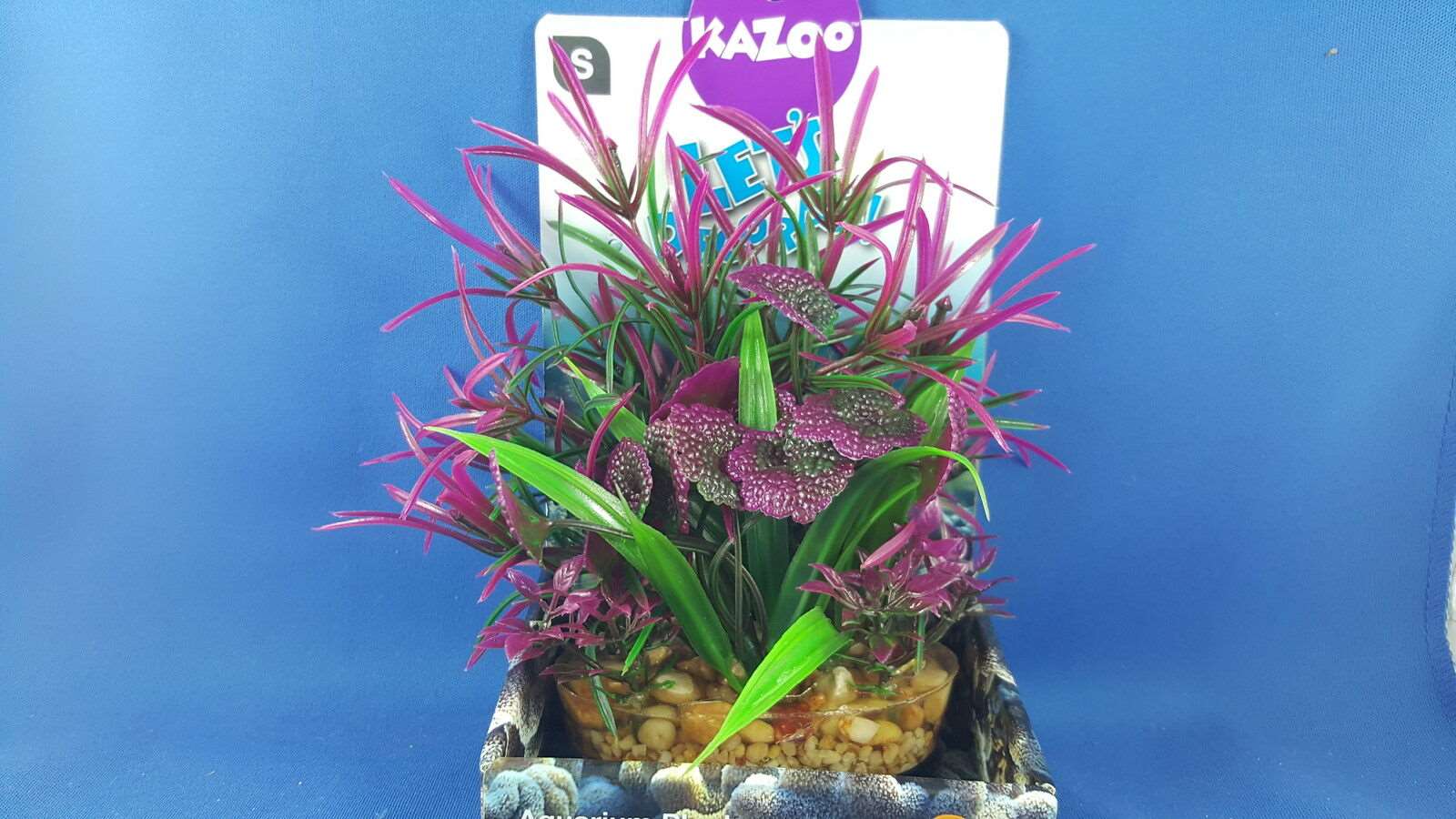 Kazoo aquarium plant, small size, purple & green leaves with solid pebble base