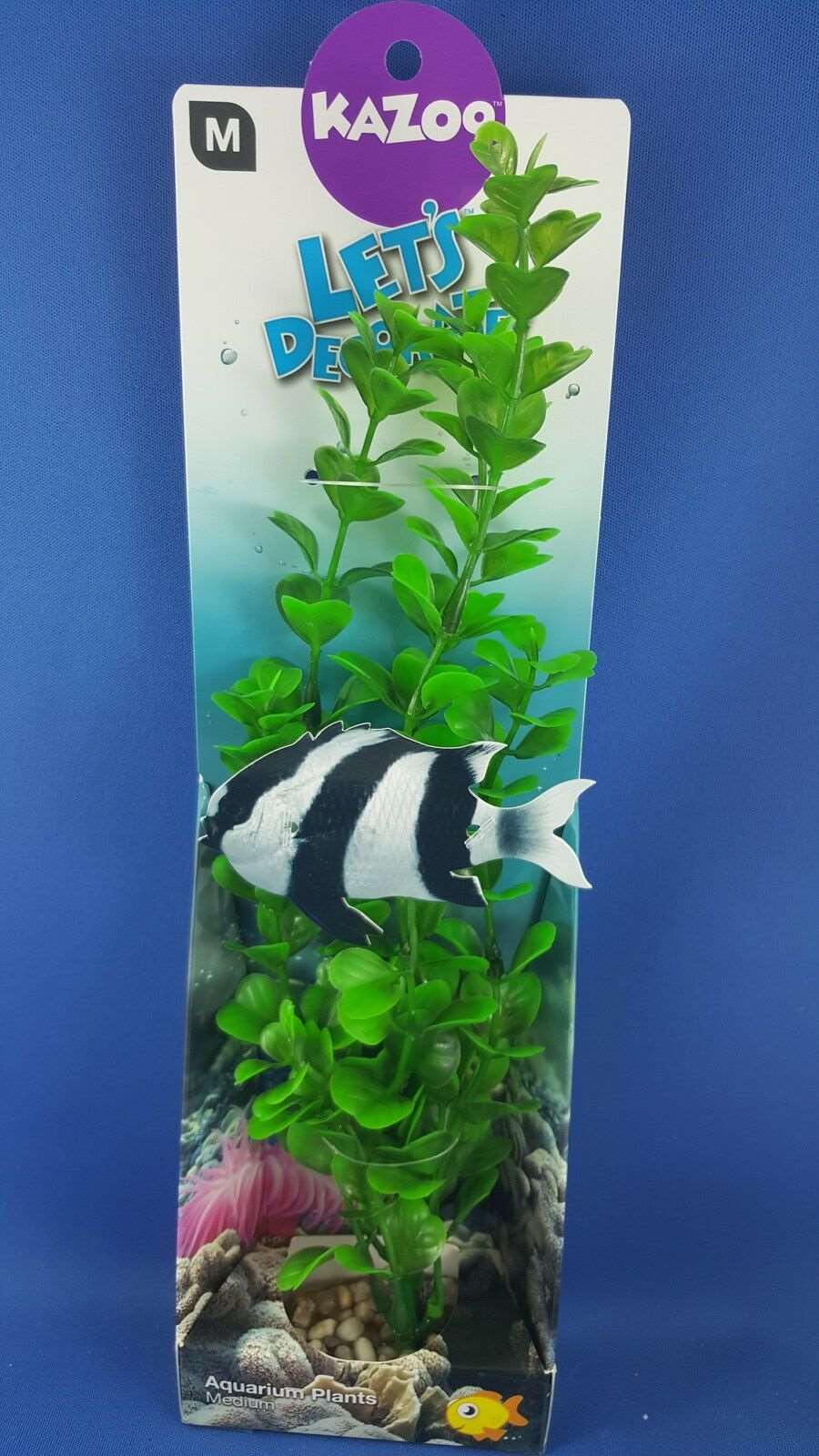 New Kazoo aquarium plant, medium with green small leaves with solid pebble base