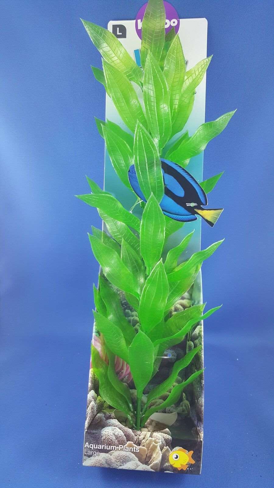 New Kazoo aquarium plant, large with long green leaves with solid pebble base
