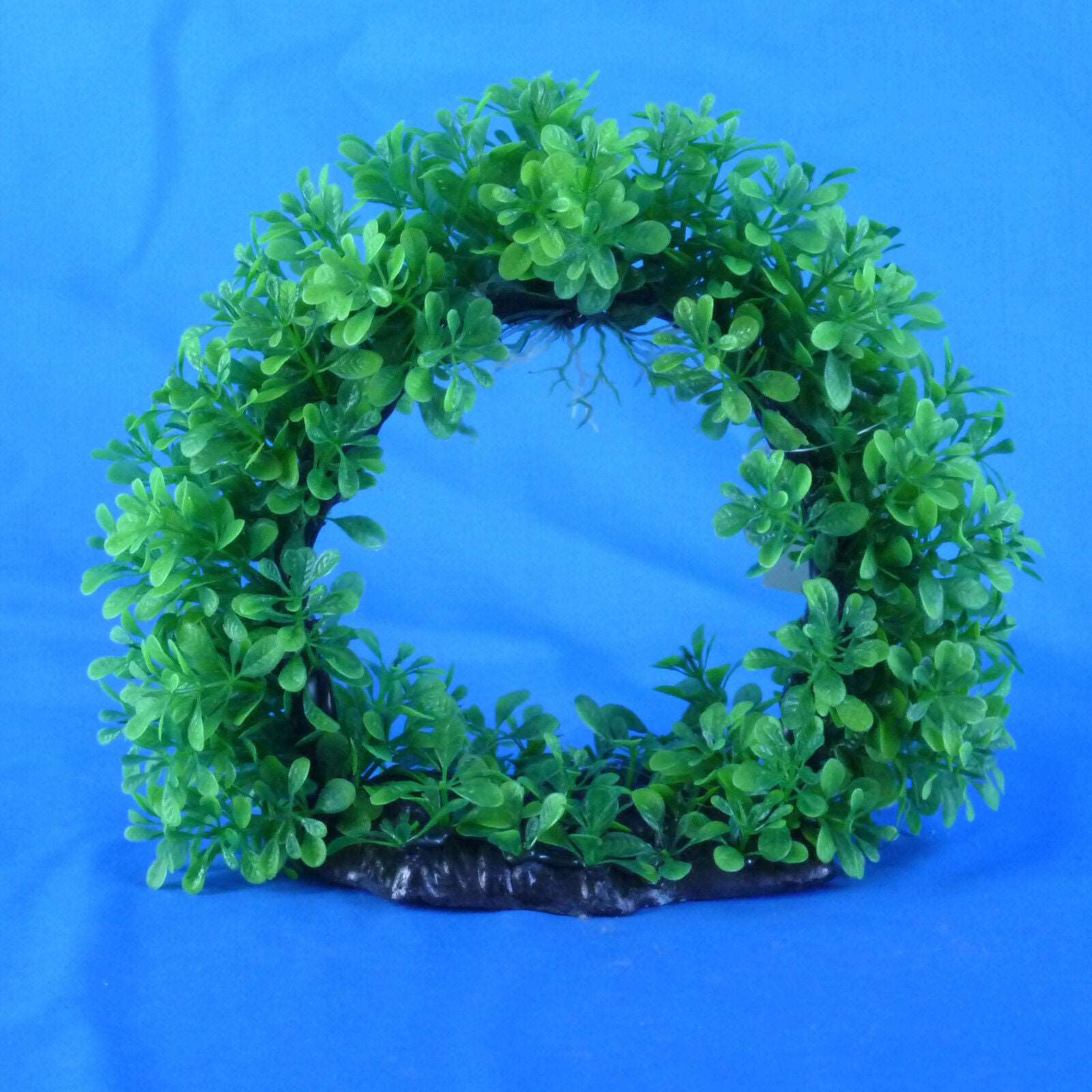 New Ring plant  Aquarium ornament