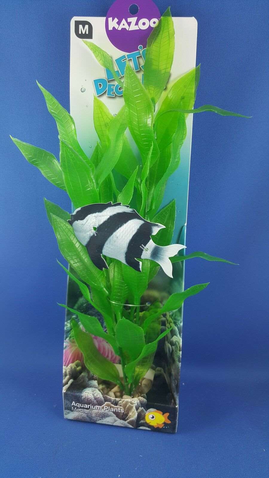 Kazoo aquarium plant, medium size with green leaves with solid pebble base