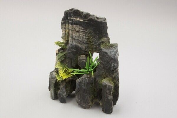 Kazoo Granite Rock with plant medium