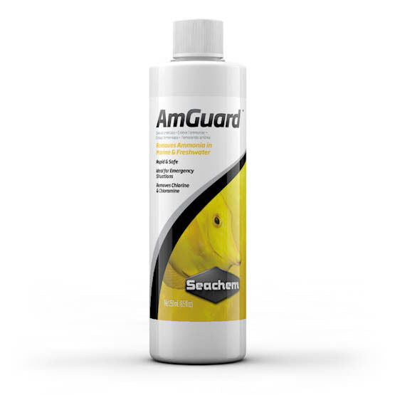 Seachem Amguard 250ml, Helps remove ammonia in aquarium water
