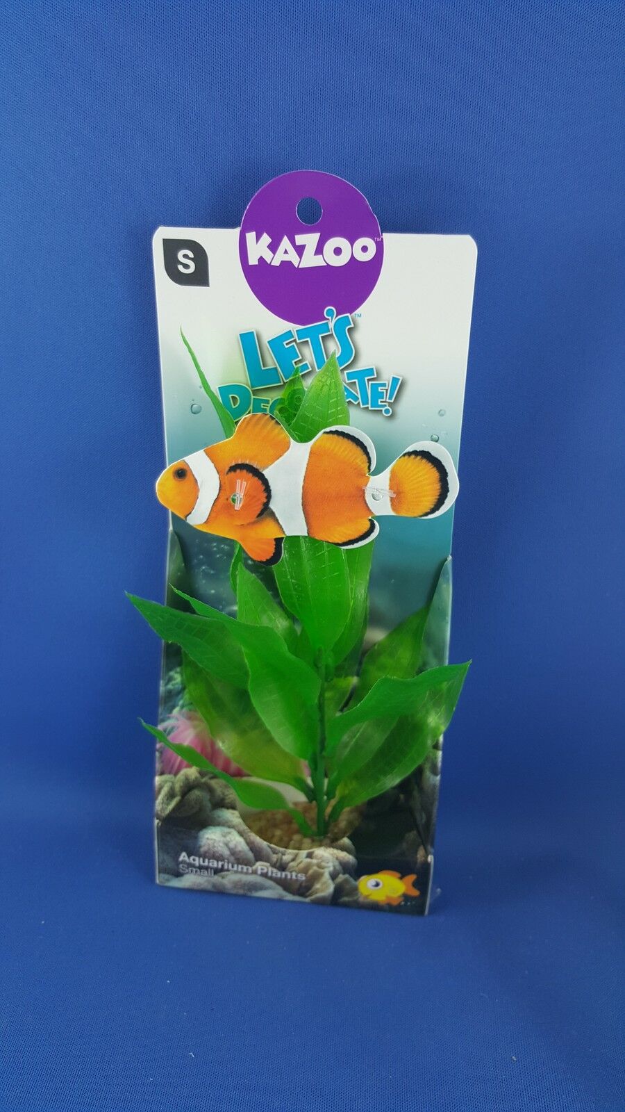 Kazoo aquarium plant, small with large green leaves with solid pebble base