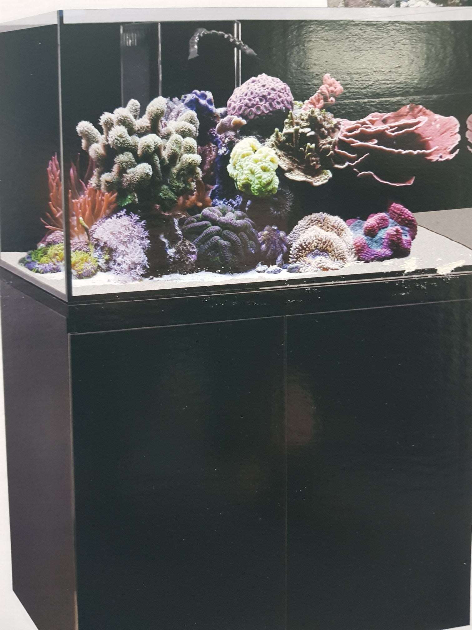 AquaOne ReefSys 255lt with cabinet and sump in Black